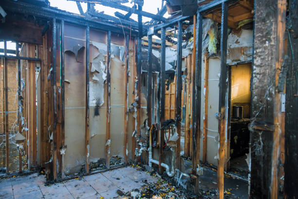 Professional Fire Damage Removal technician working in Huntingtown, MD